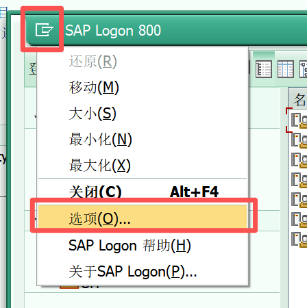 sapgui设置